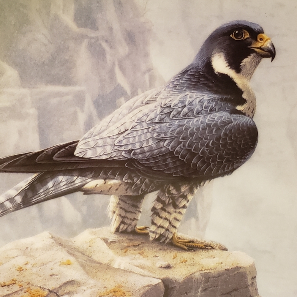 Vtg1988 Knowles Peregrine Falcon Plate Bird Prey